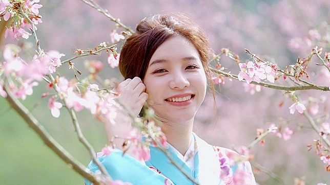 Gira Sexual para Sakura