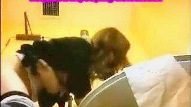 Chica Japonesa Caliente y Genial Mete la Polla en el Baño