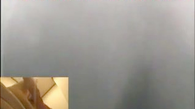 Bella asiática follando su coño con un juguete sexual