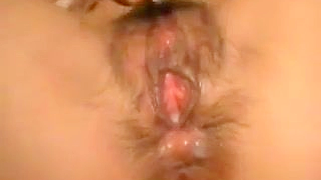 Japonesa Increíblemente Sexy se Folla en la Habitación