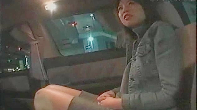 Bella asiática sensual disfruta siendo follada con fuerza