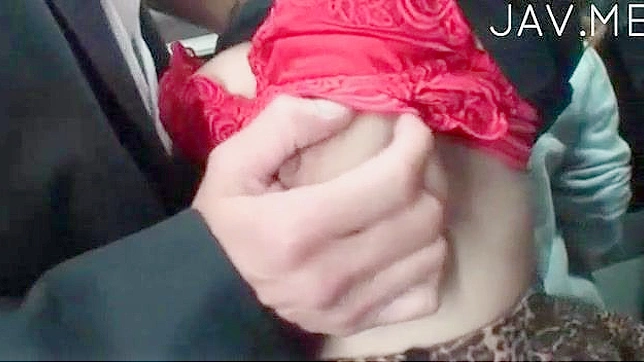 Chica con Grandes Tetas se las Aprietan y Acarician Brutalmente