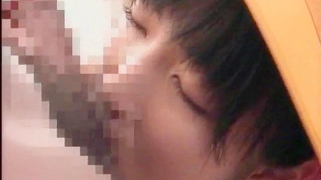 Follando A La Dulce Asiática Peluda E Inocente