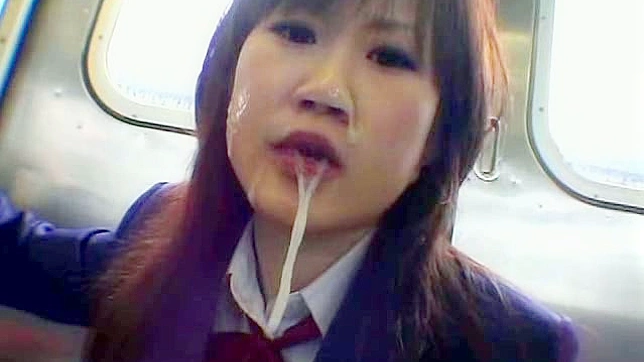 Schoolgirl Train Exhibition Sex Bathroom Video 5