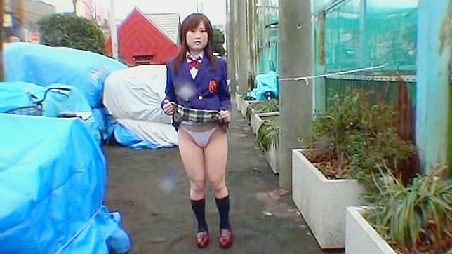 Schoolgirl Train Exhibition Sex Bathroom Video 4