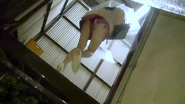Video Amateur Tu Visita Domiciliaria Erótica