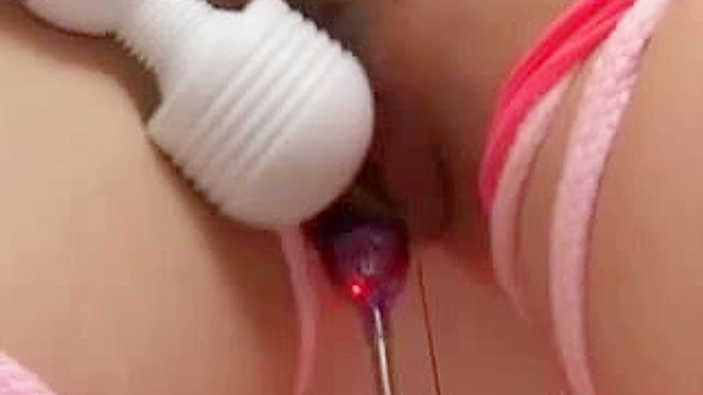 Hinata Sensual Journey - A Taste of Asian Pleasure