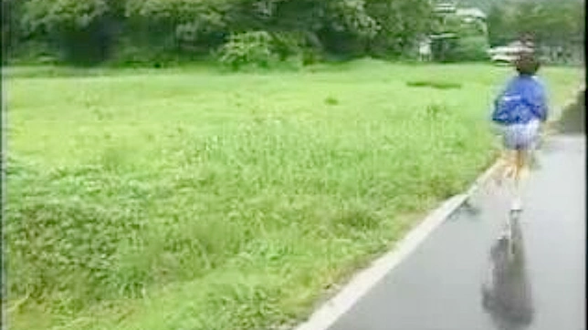 Farm Frenzy - Woman Taken by Surprise