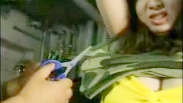 Female Soldier Gun and Rifle Fuck Fantasy