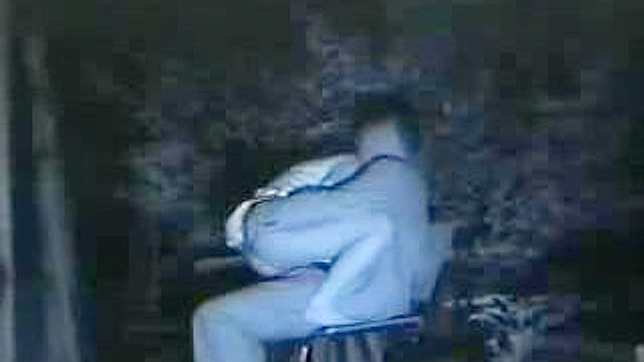 Naughty Couple Public Park Fuck Fest Caught on Camera
