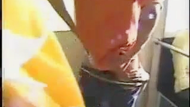 Crazy taboo! Watch Japanese girl's public transport tease