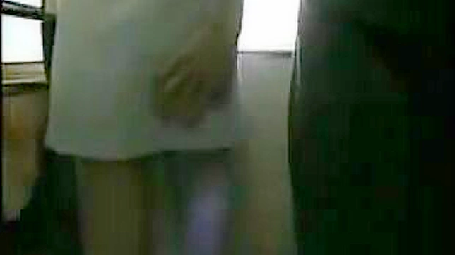 Crazy taboo! Watch Japanese girl's public transport tease