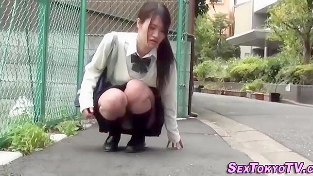 Explore the Hidden Luscious Allure of Japanese Teens in Public Space Videos