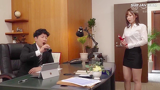 Japanese Secretary Fulfills Boss's Task on Vibrators, Softcore Fantasy